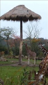 Leipzig und Umgebung