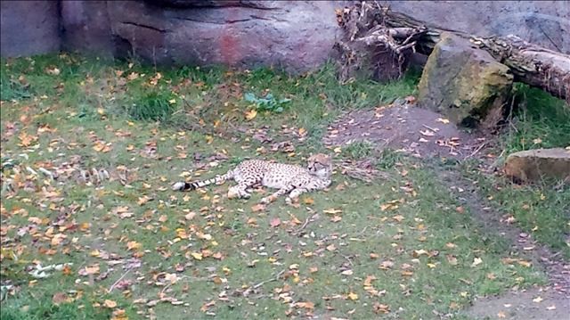 Leipzig und Umgebung