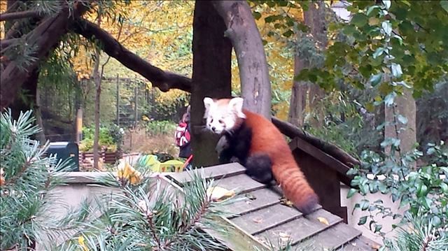 Leipzig und Umgebung