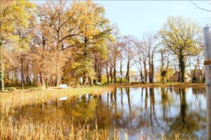 Leipzig und Umgebung