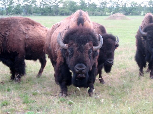 Leipzig und Umgebung