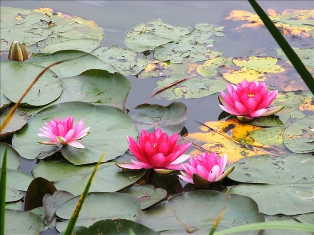 Leipzig und Umgebung